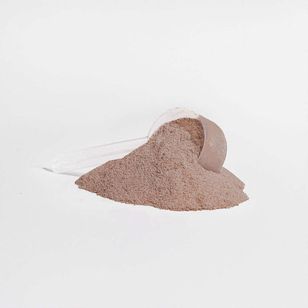 Advanced 100% Whey Protein (Chocolate)